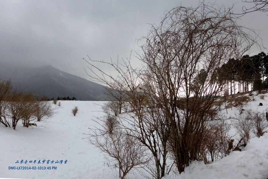 【富士山滑雪场--阴天摄影图片】风光摄影_太