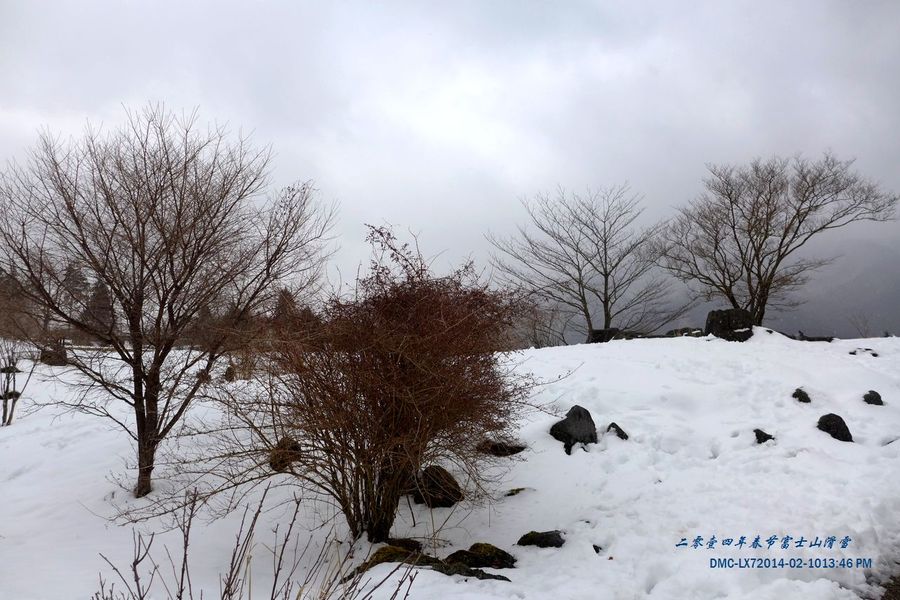 【富士山滑雪场--阴天摄影图片】风光摄影_太
