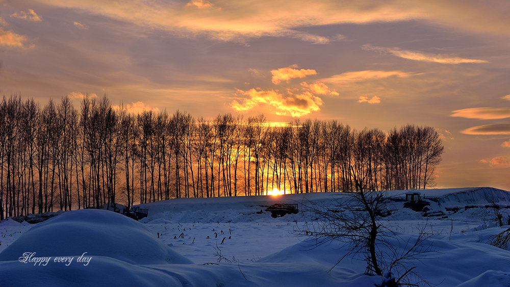 夕阳斜照雪乡路