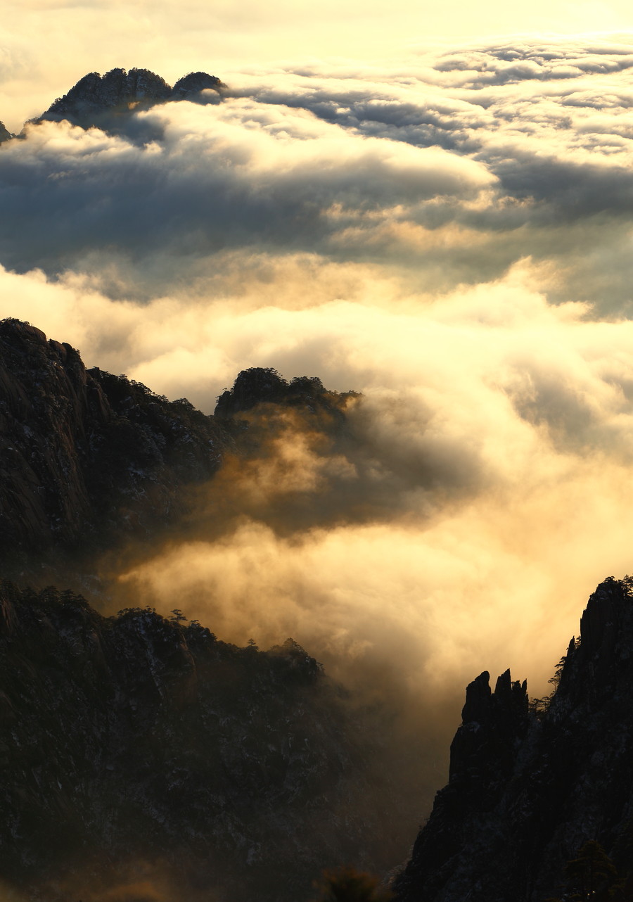 大美黄山——云海仙境