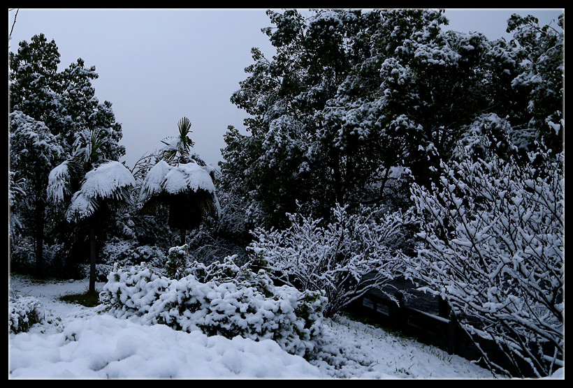遵义少见的一场雪