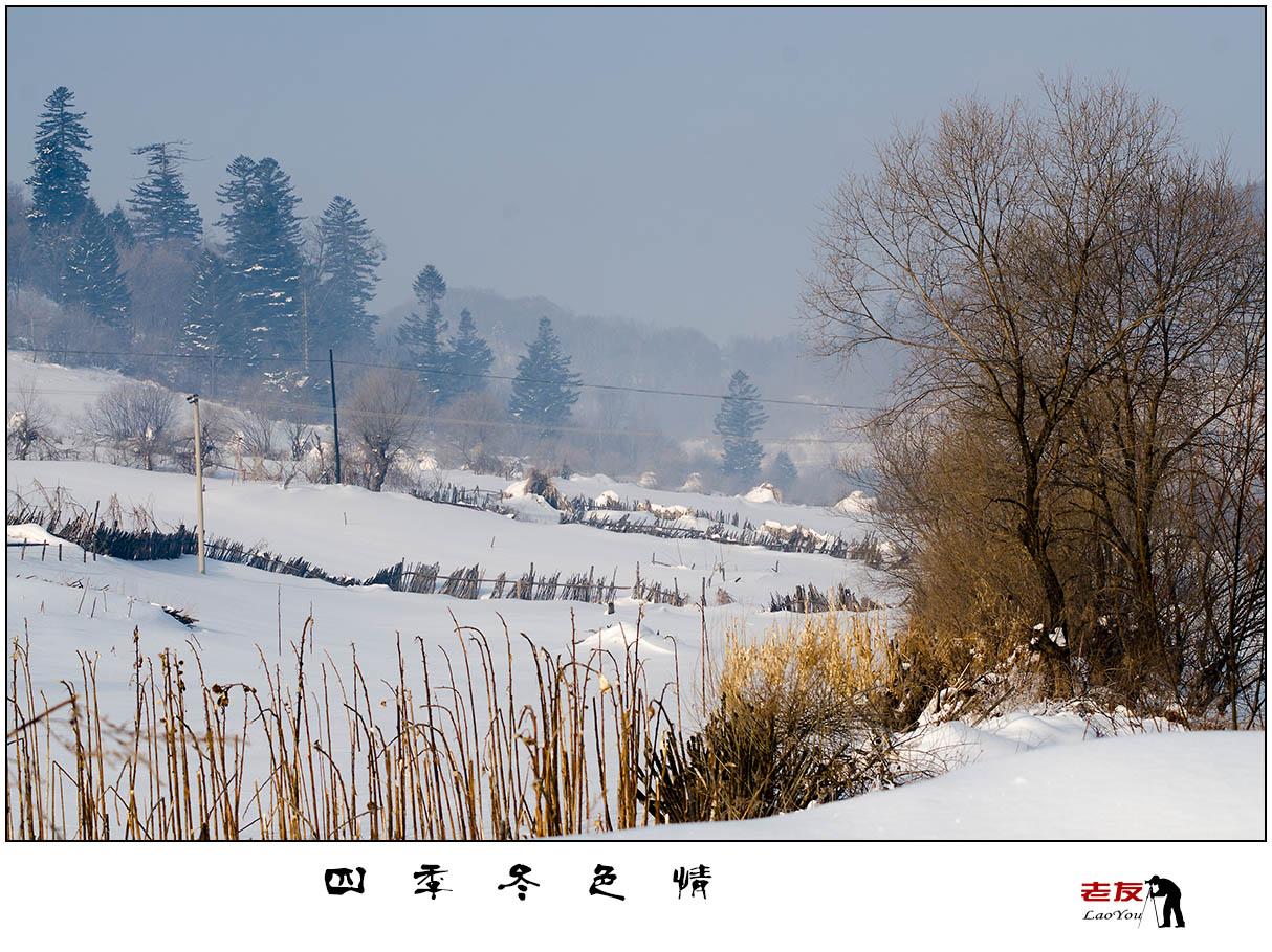 东北雪村雪景图片素材_免费下载_jpg图片格式_VRF高清图片500744885_摄图网