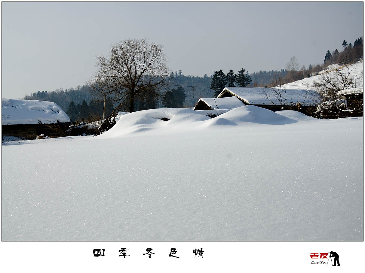 【东北农村的冬天摄影图片】风光摄影_老