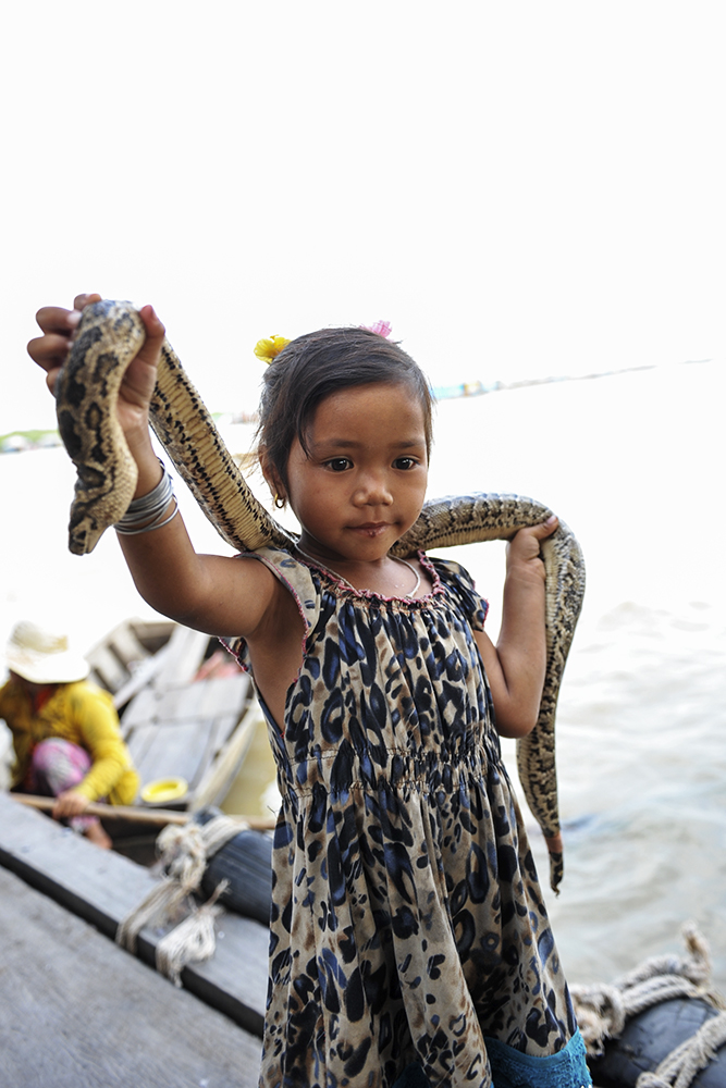洞里萨湖玩蛇的小女孩
