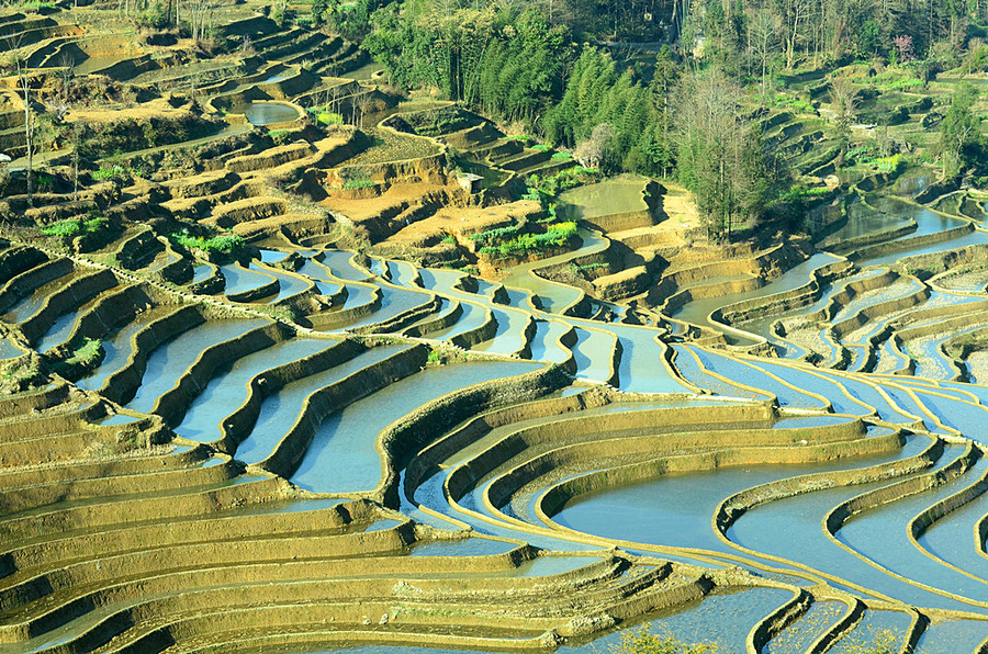 【世界遗产之旅---红河哈尼梯田。摄影图片】风