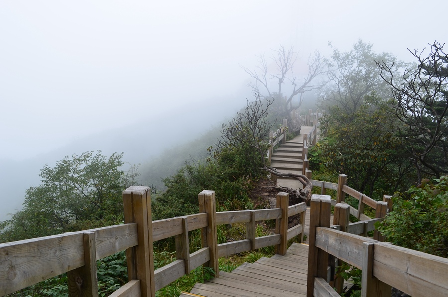 大邑西岭雪山景区游览分享 (共p)