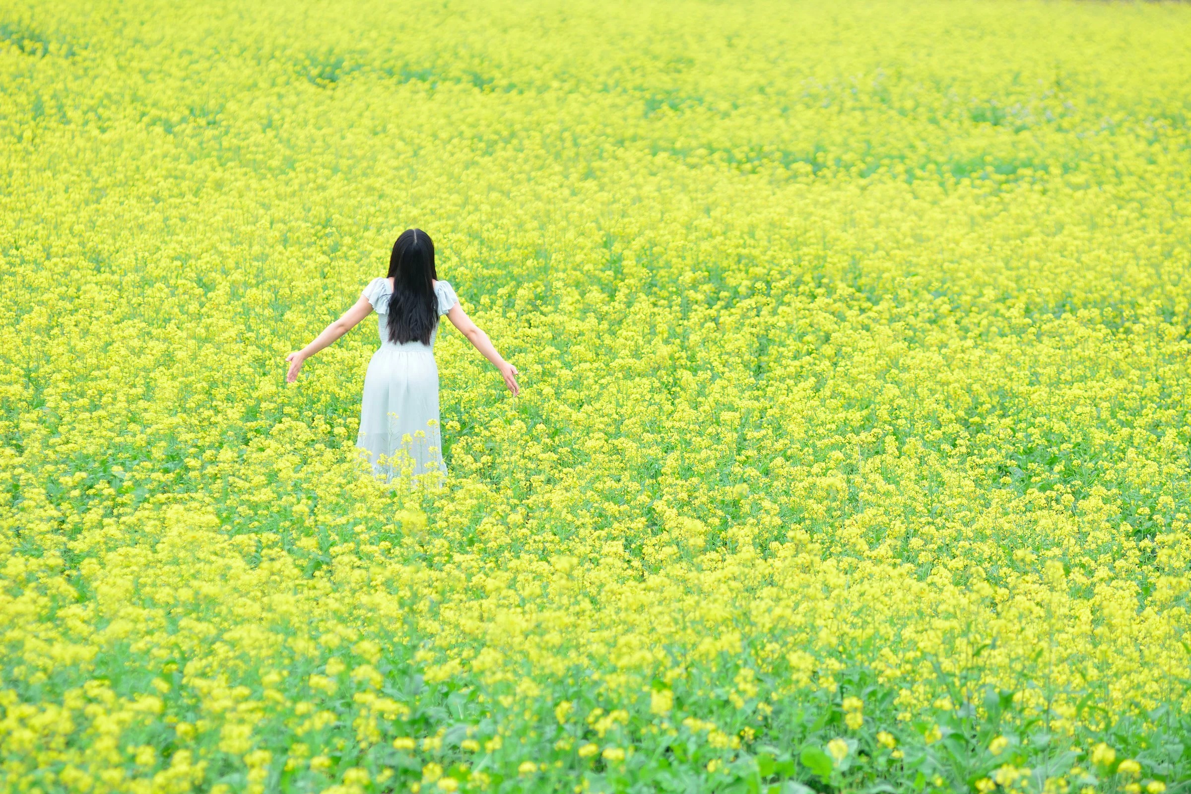 红山村油菜花田美女人像