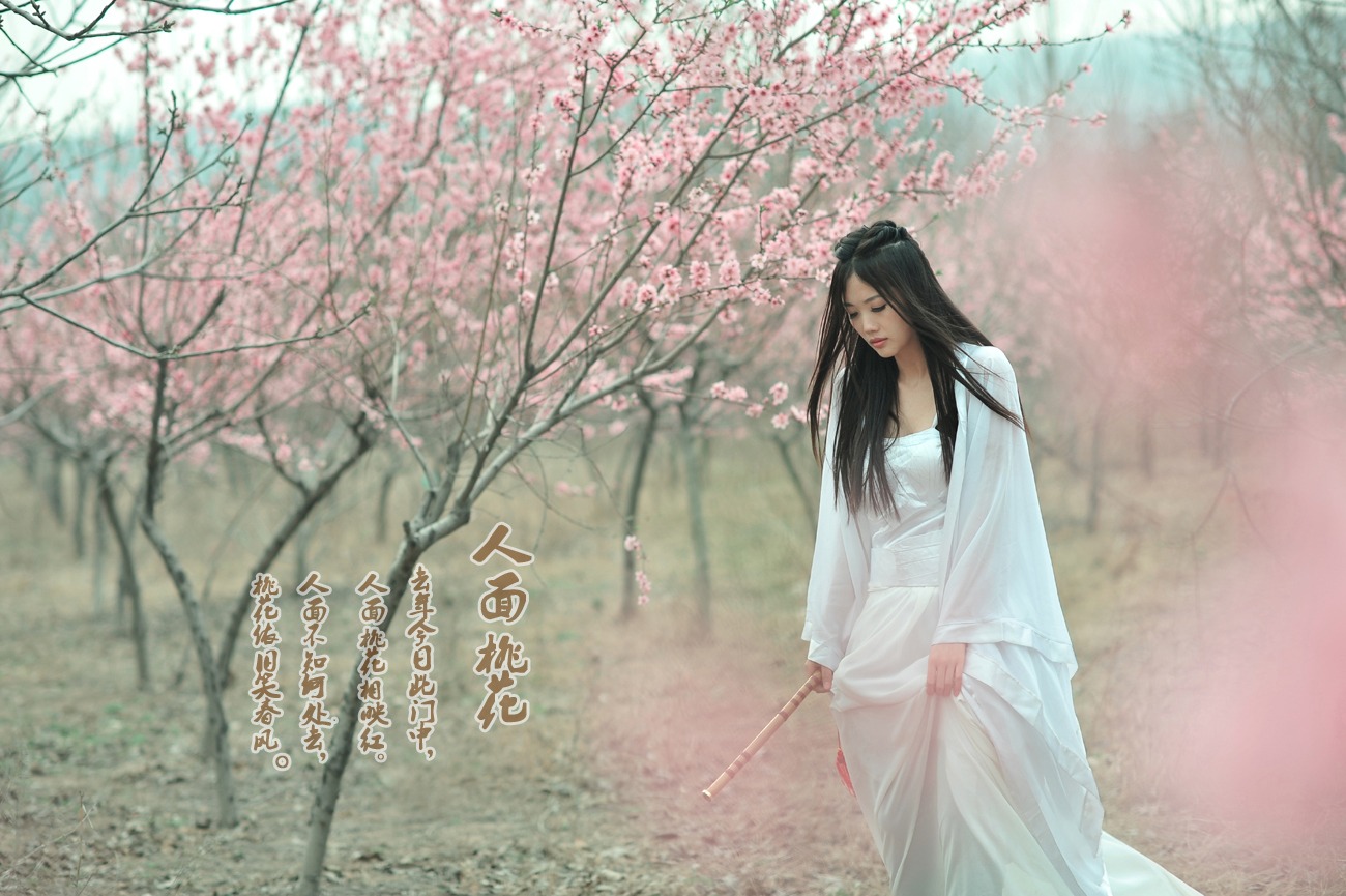 人面桃花