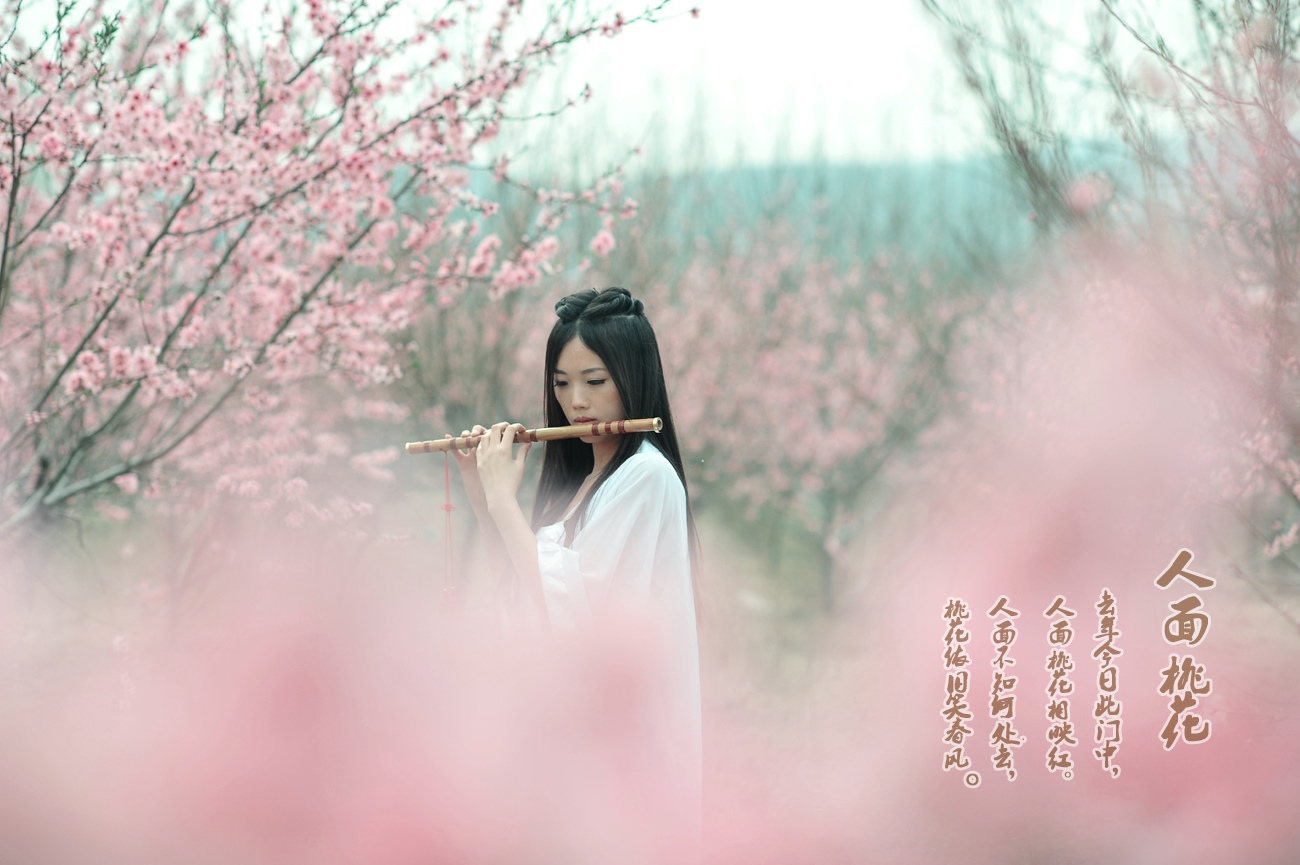 人面桃花