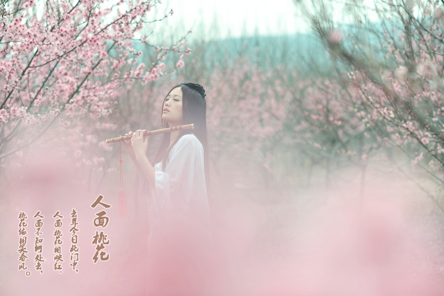 人面桃花