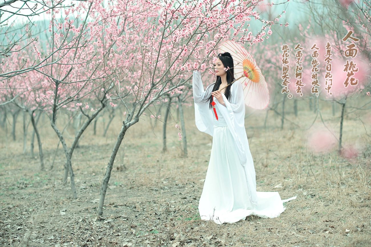 人面桃花