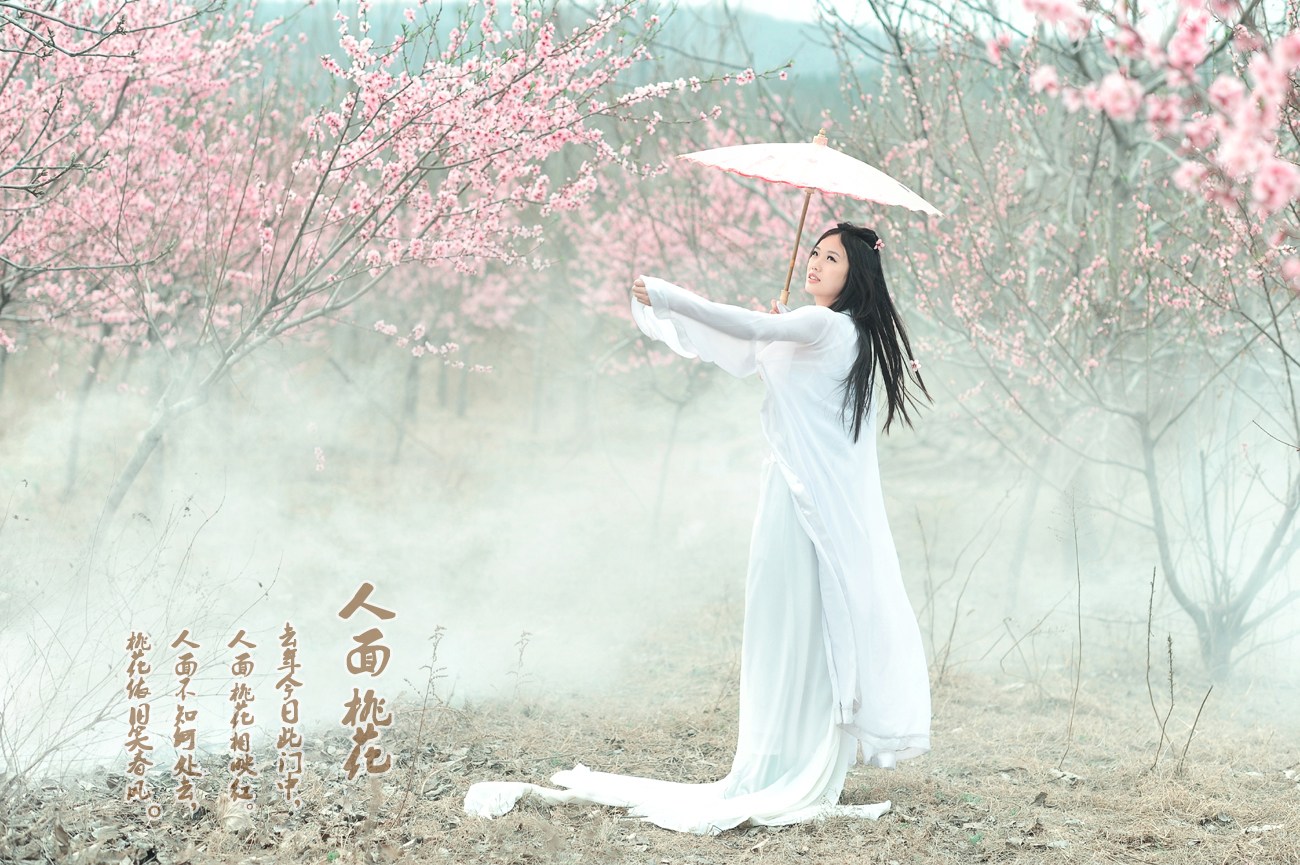 人面桃花