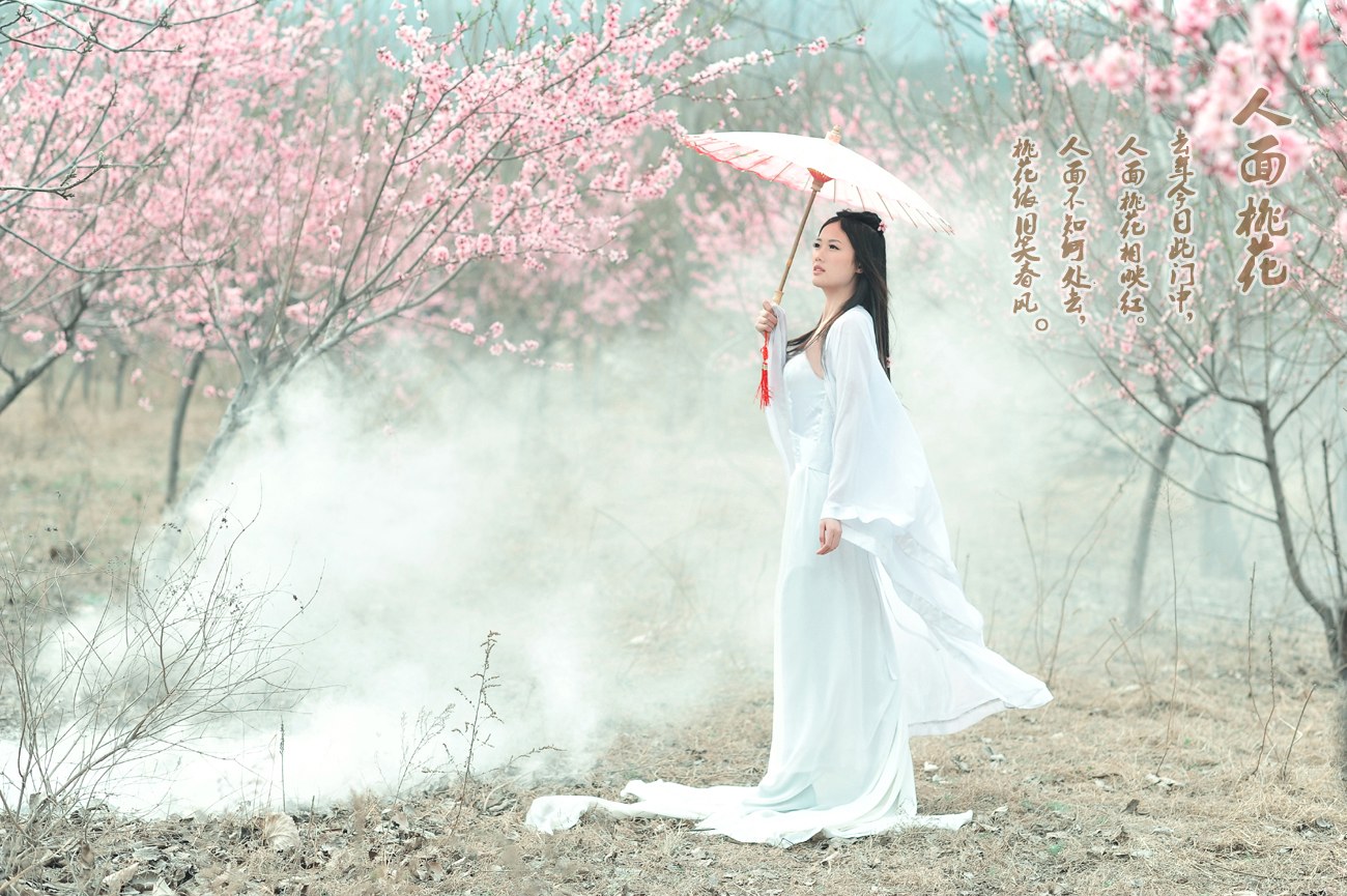 人面桃花