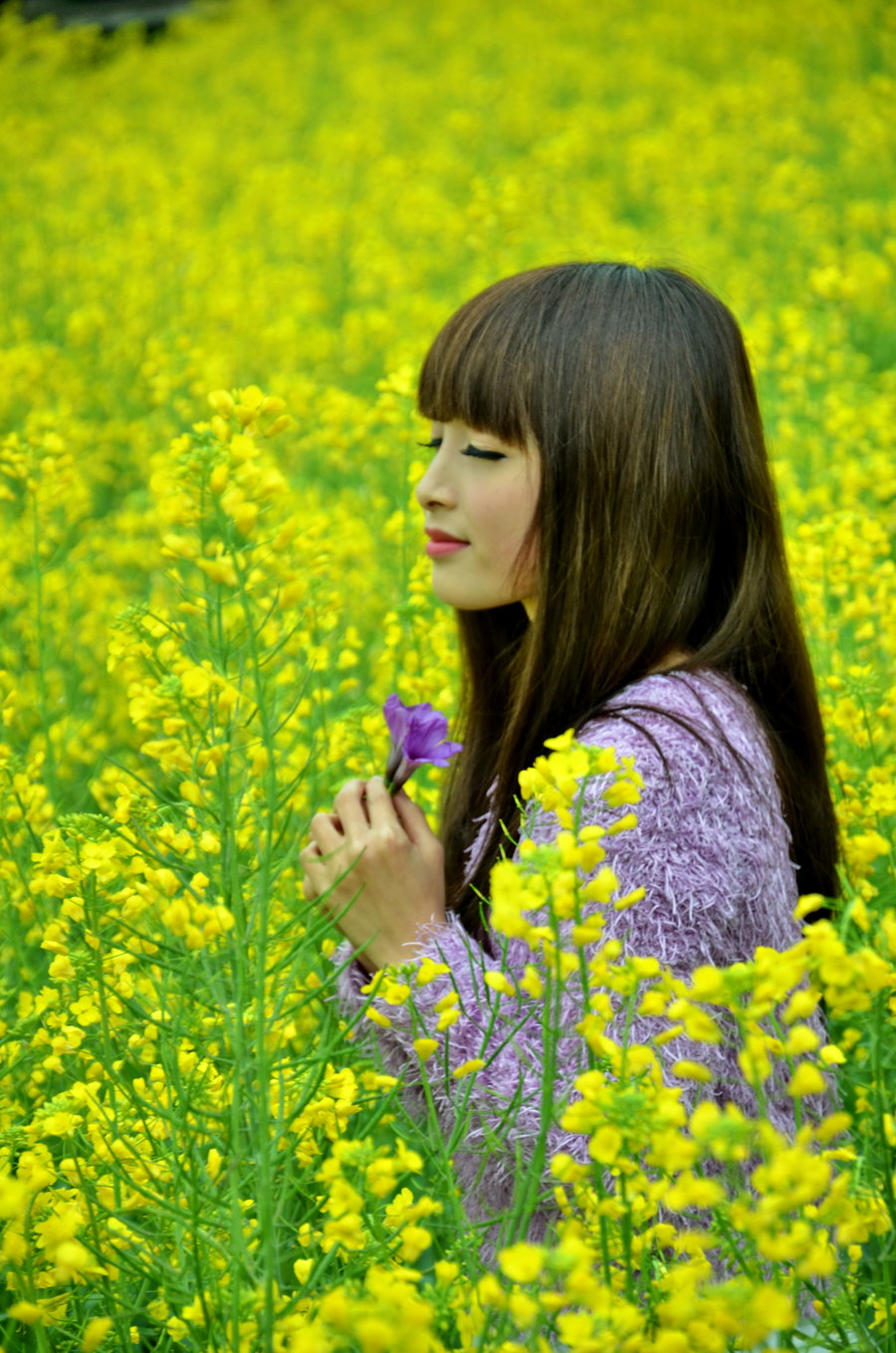 "花与少女"__醉花香