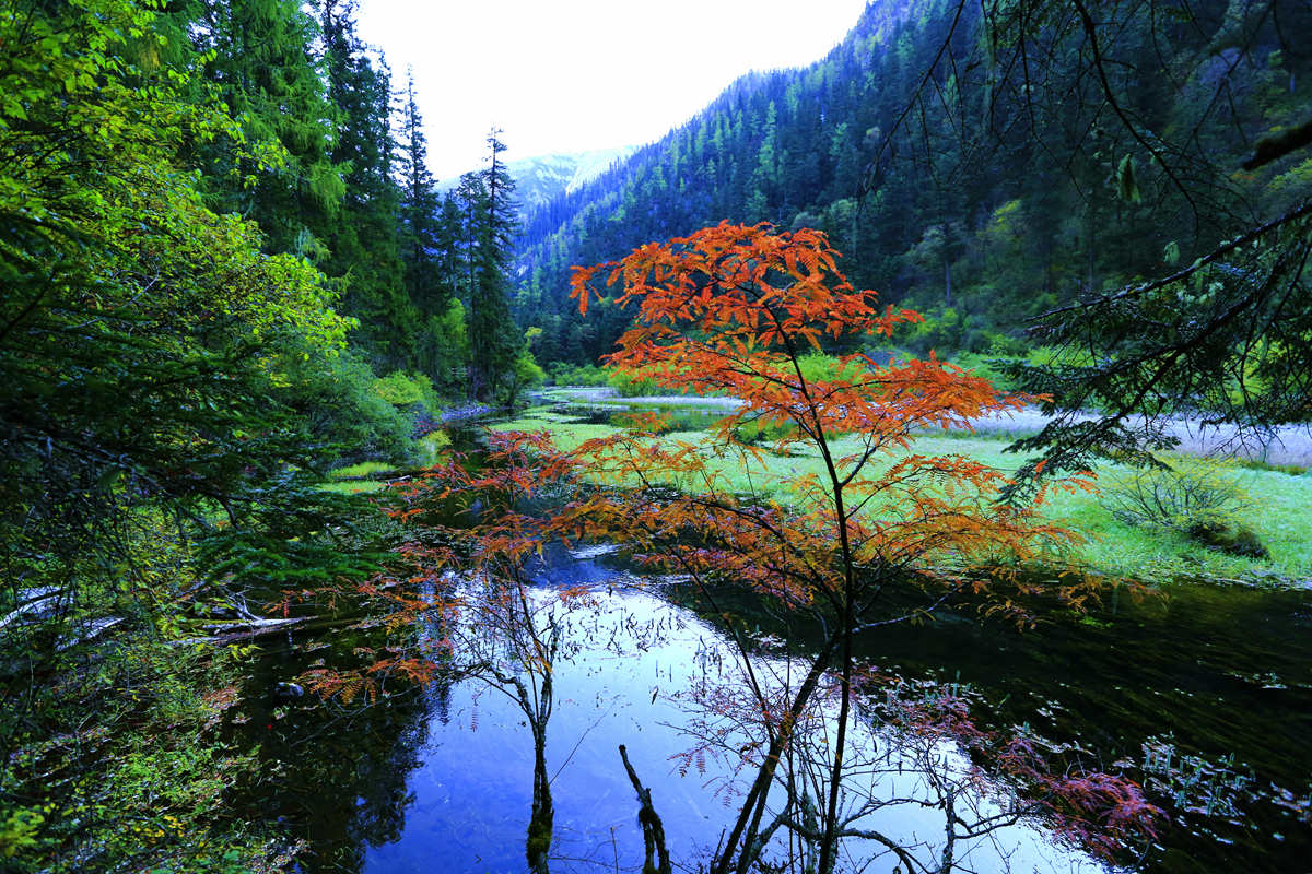 人间仙境九寨沟