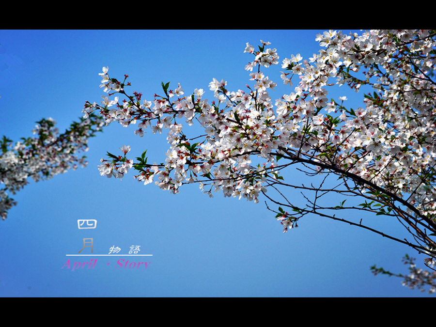 【四月物语--随拍摄影图片】生态摄影