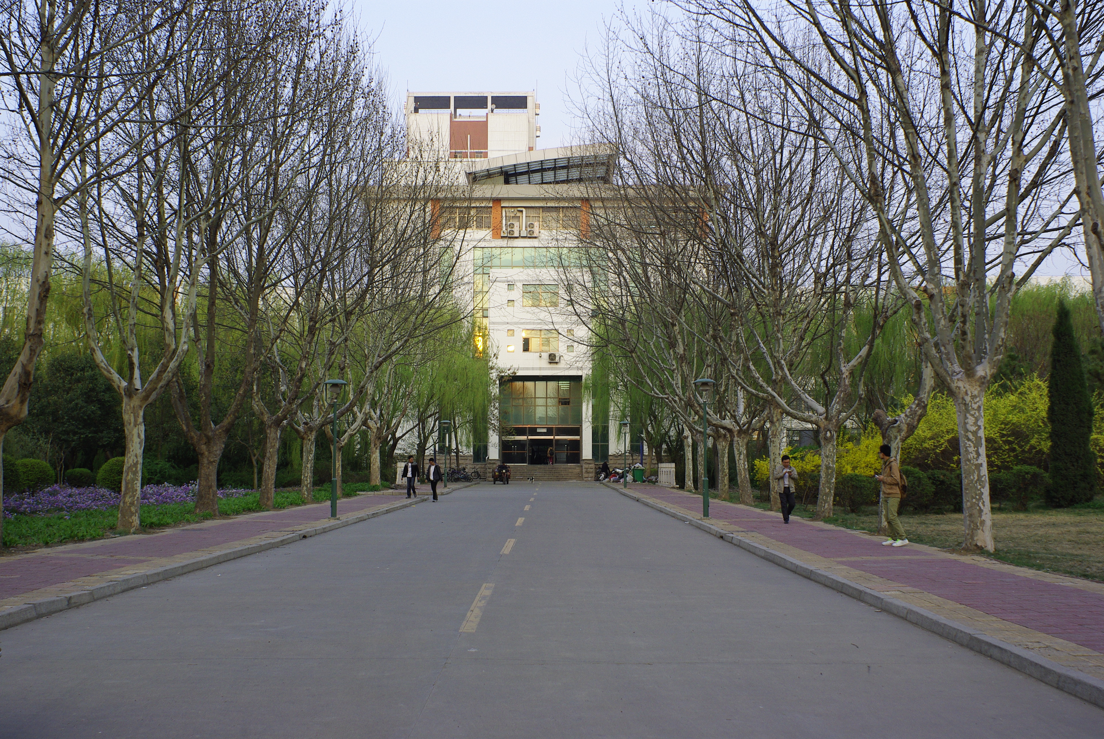 大学校园风光