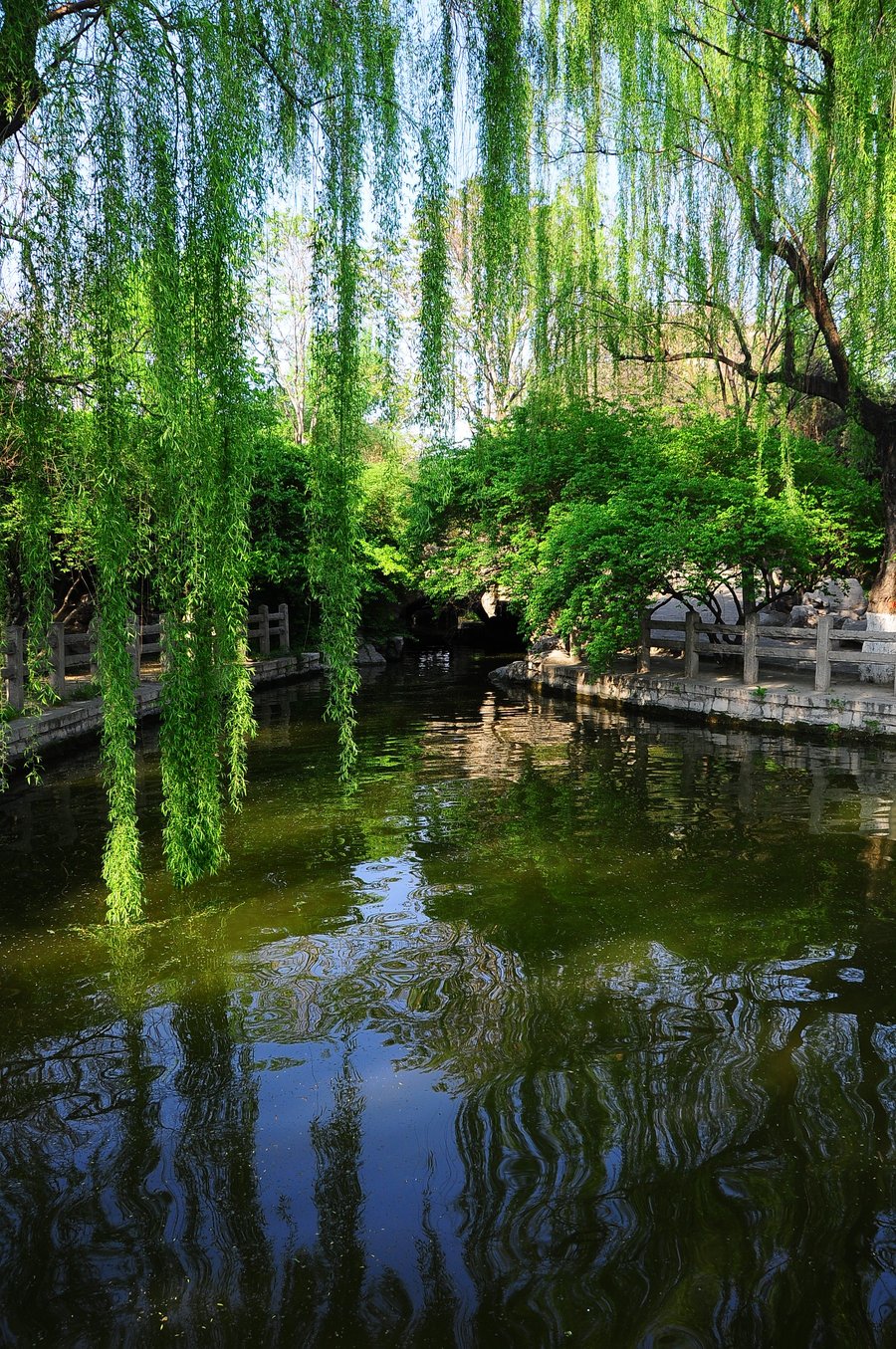 【清明时节,你还记得大明湖畔的夏雨荷吗?偷笑