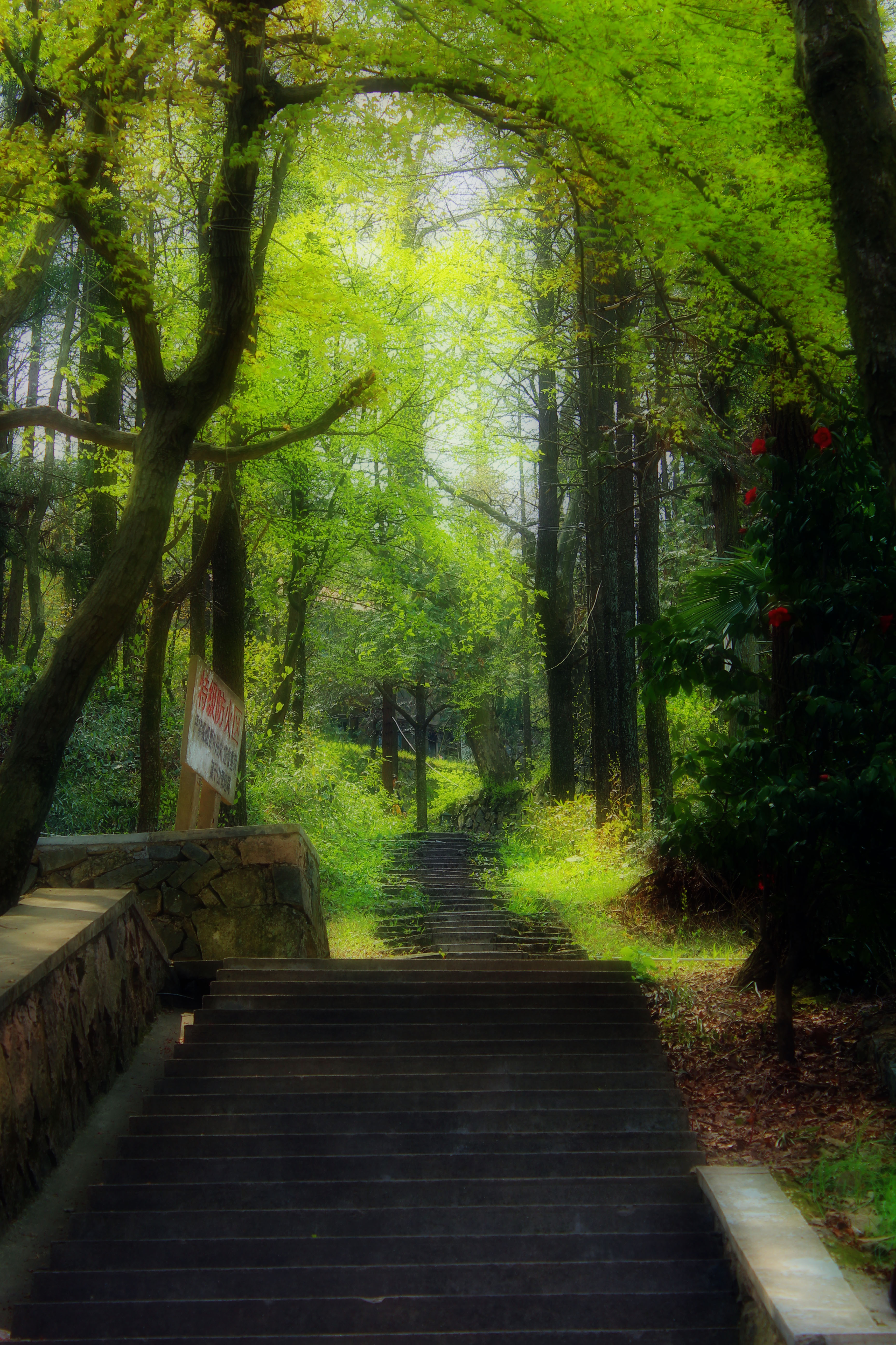 莫干山游记