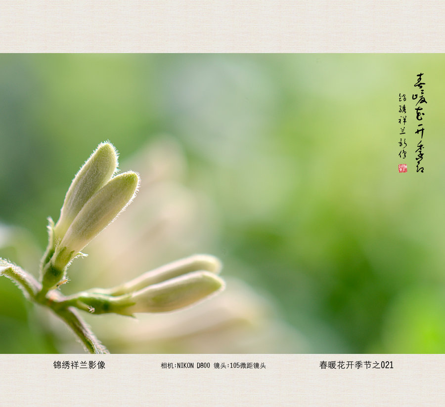 http://img2.pconline.com.cn/pconline/0611/21/909228_909228i.jpg_军事射击高清素材图片军事射击高清素