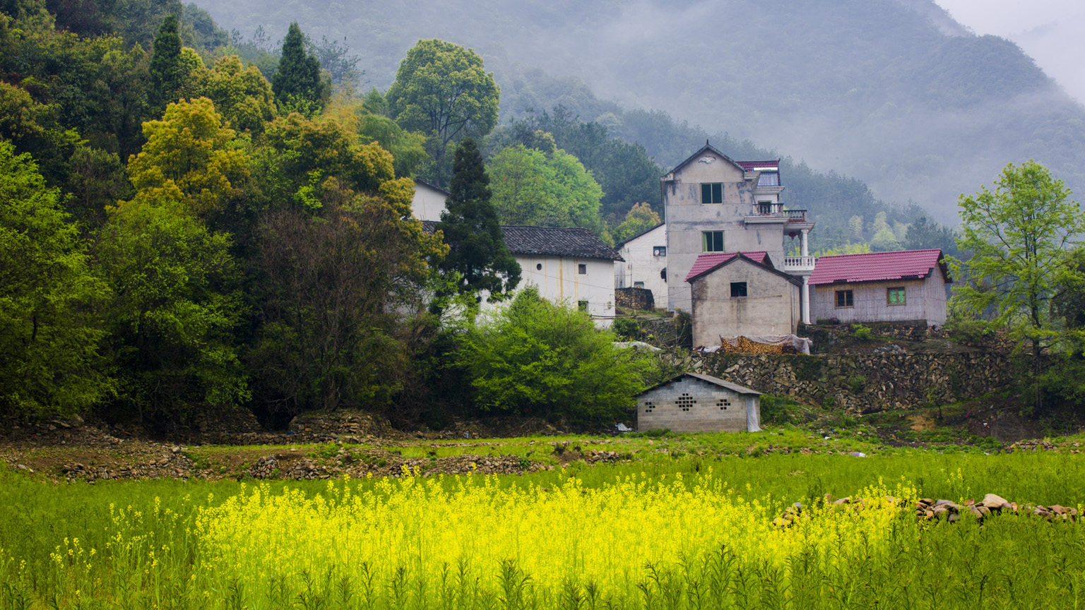 雨后山居