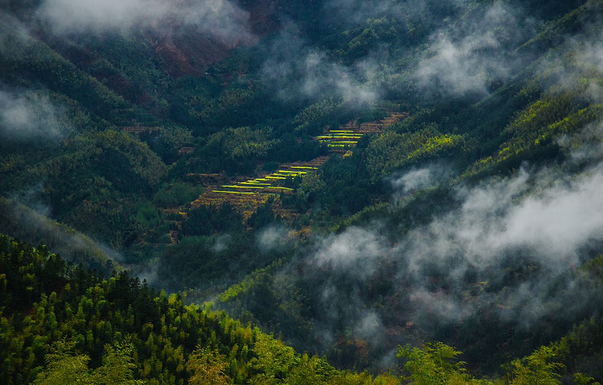 走进画里乡村2014年春行摄休宁黟县