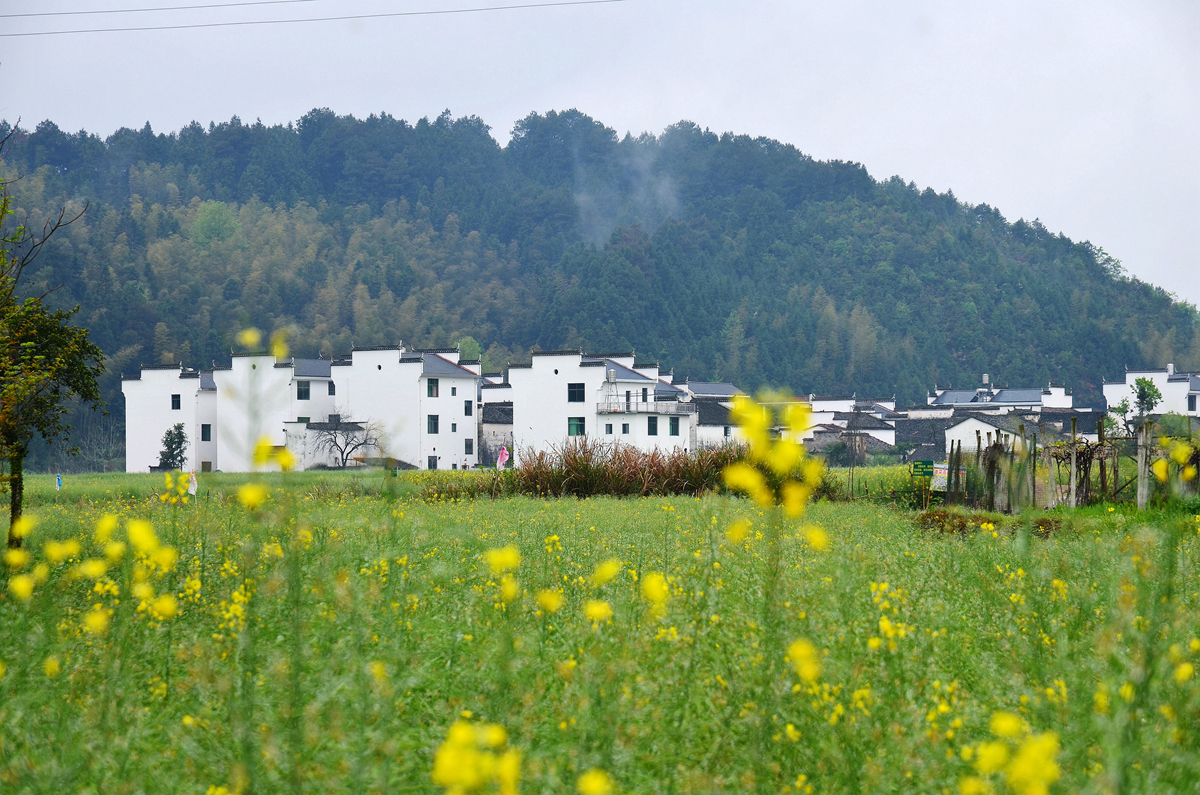 最美乡村,梦里老家