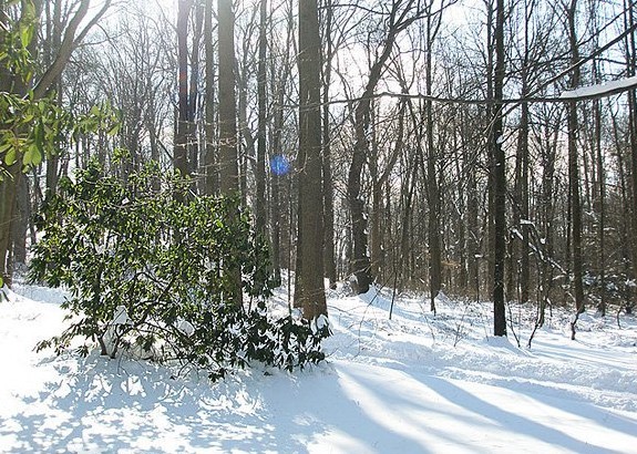 【拍摄雪景如何正确曝光摄影图片】风光旅游摄