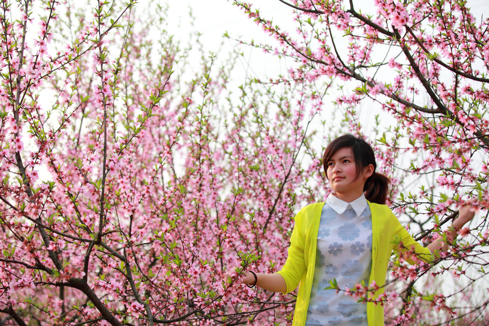 桃花美女