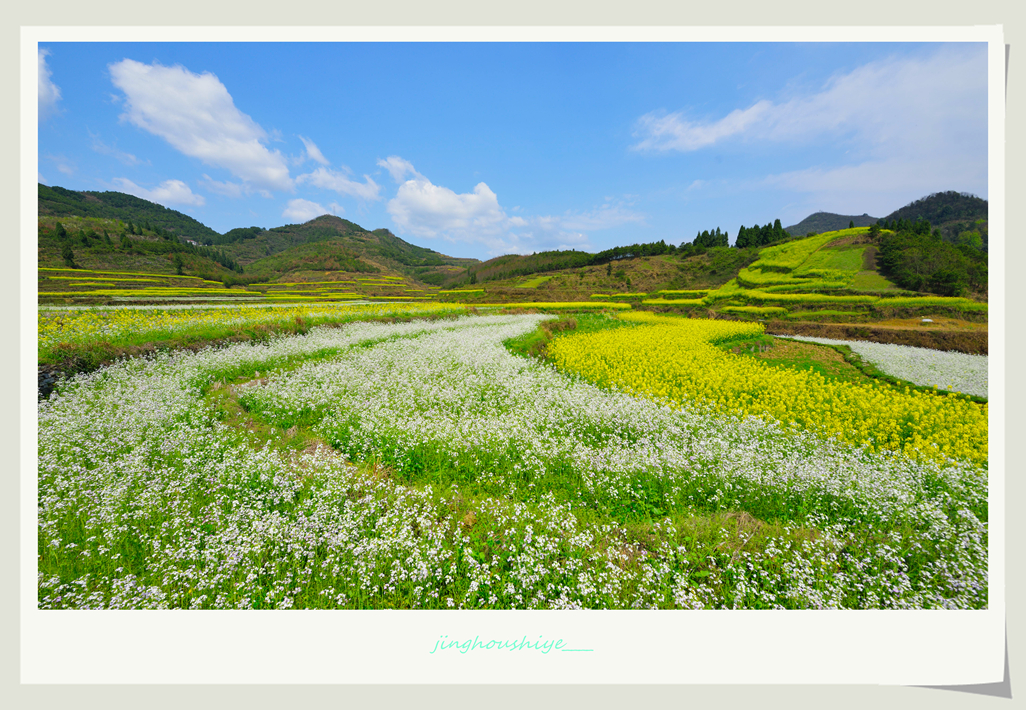 乡村春色