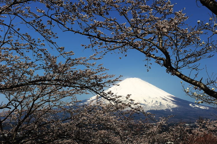 【远眺富士山摄影图片】风光旅游摄影