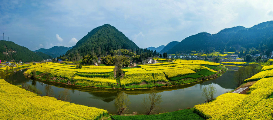 【油菜花开家乡美-1摄影图片】风光旅游摄影