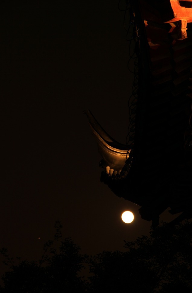 广富林遗址公园十五的月亮