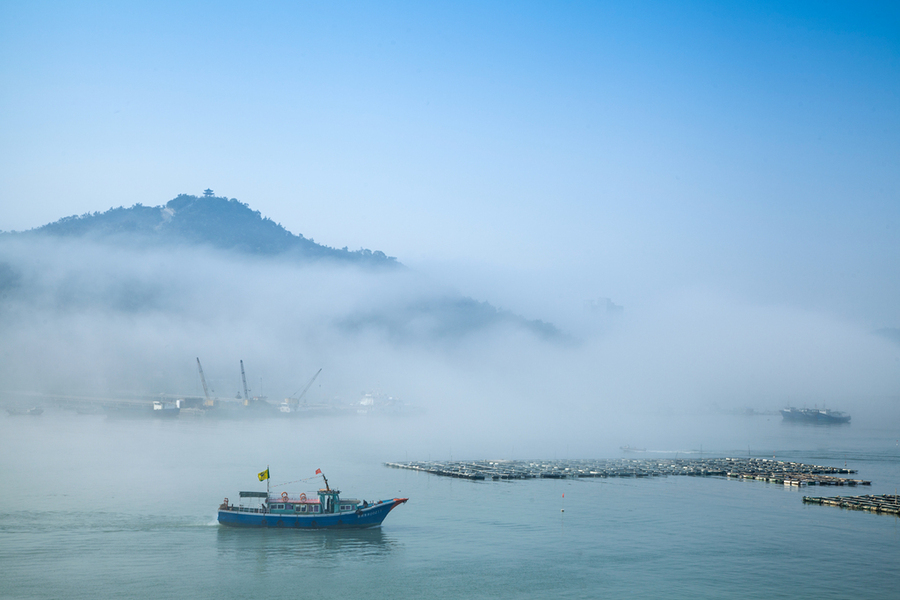 【晨雾中的温州洞头渔港摄影图片】风光旅游摄