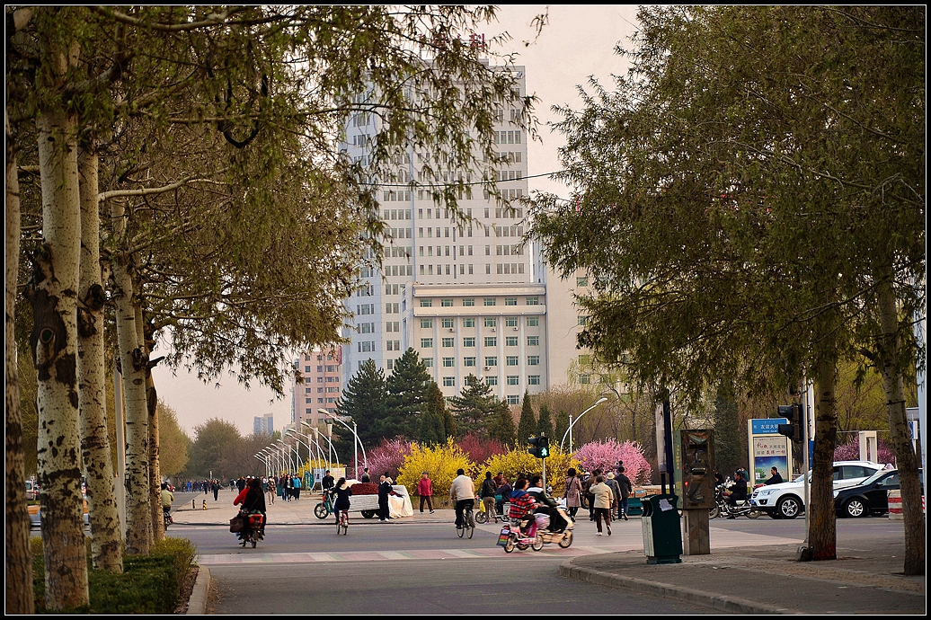 春天,鲜花中的城市街心小公园里与路口