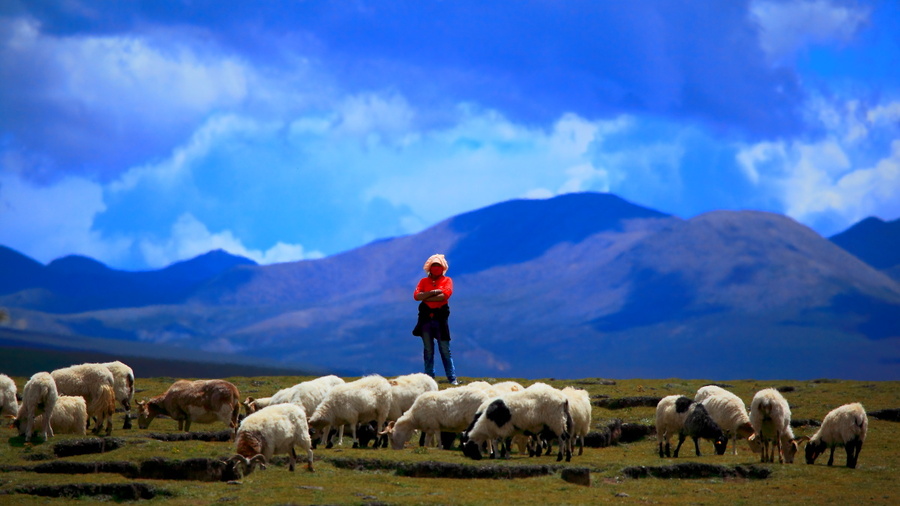 【孤独的牧羊人摄影图片】风光旅游摄影