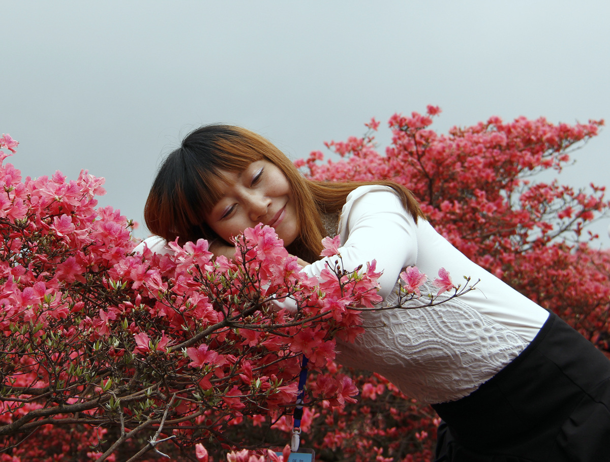 龟峰山雾里看花,花中看美女