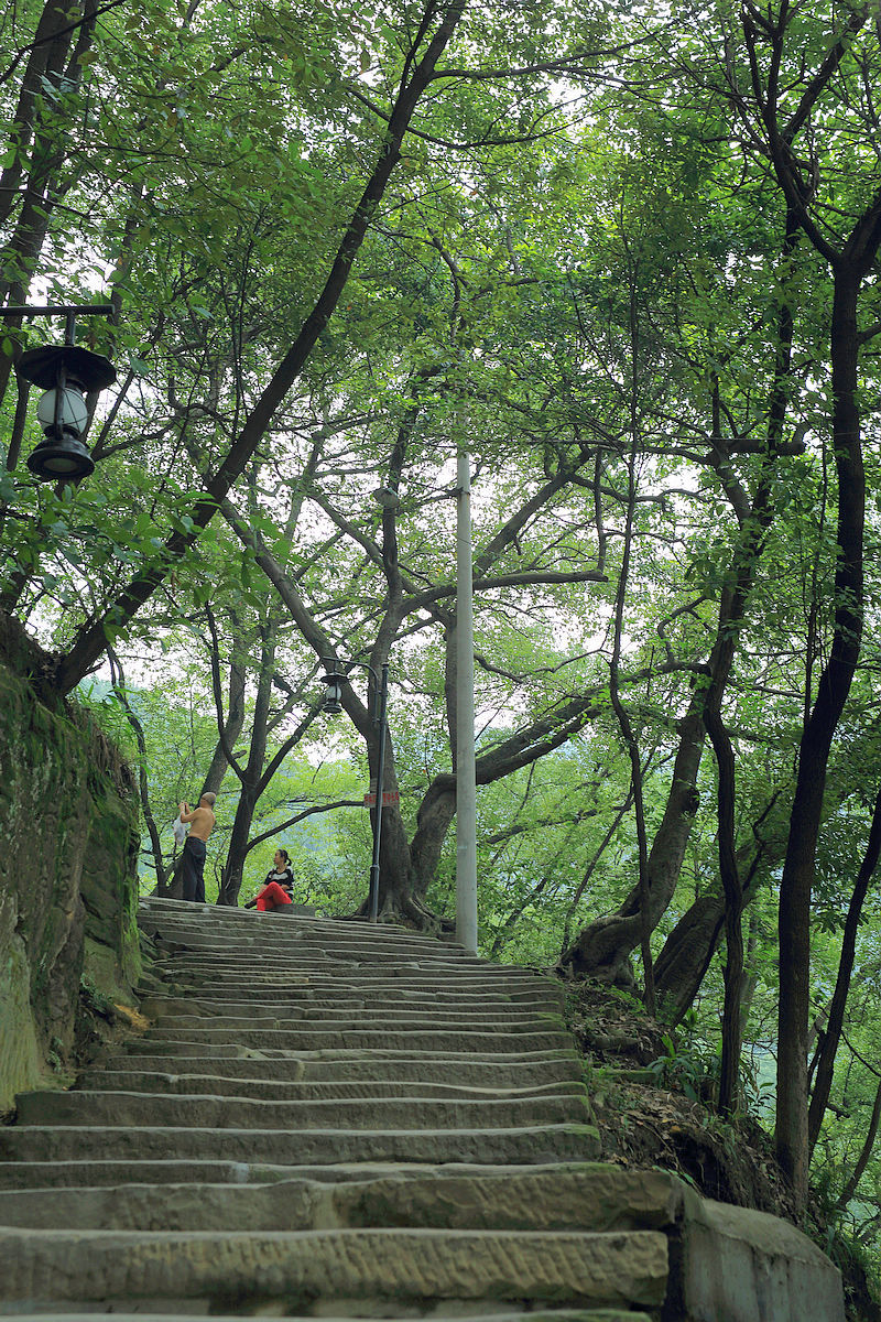 重庆黄桷古道8