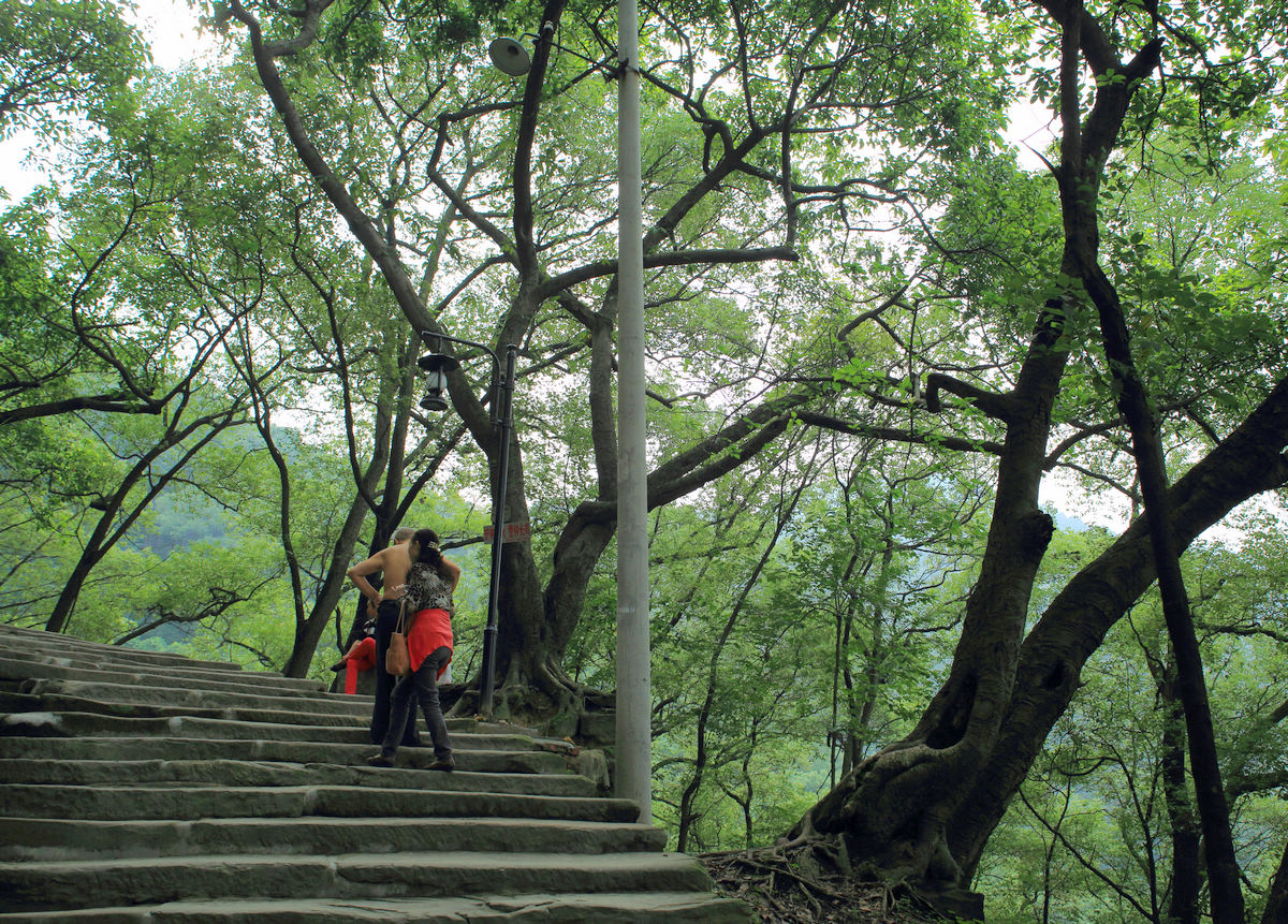 重庆黄桷古道7