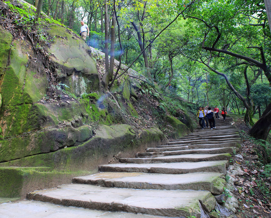 重庆黄桷古道7