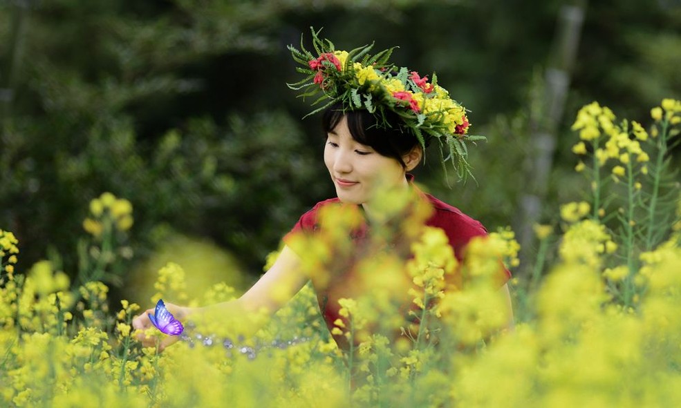 油菜花与美女