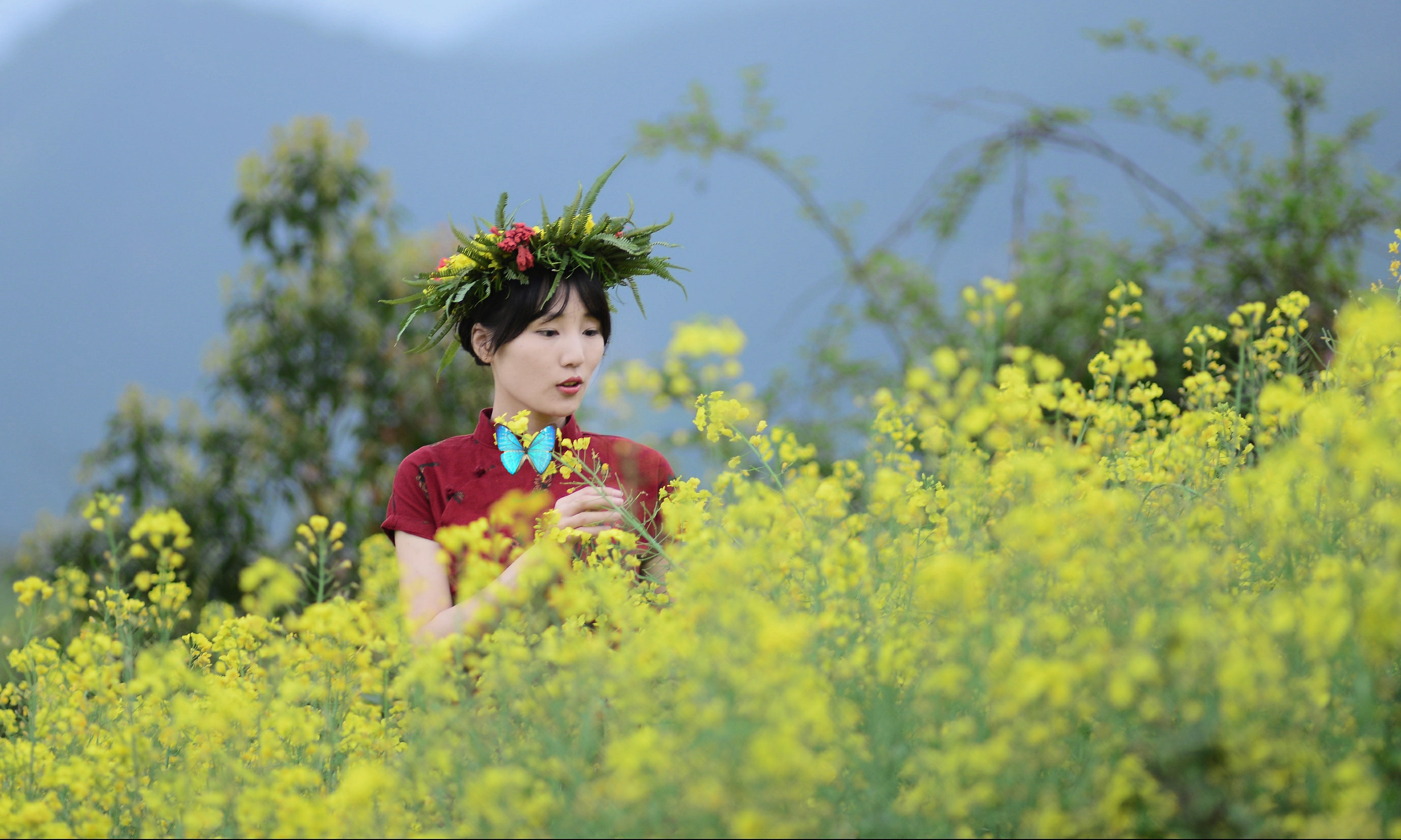 油菜花与美女