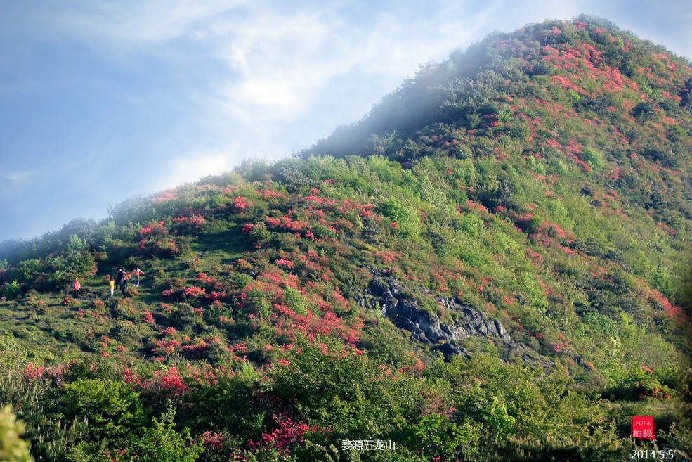 婺源五龙山【海拔1500米】徒步需3个小时