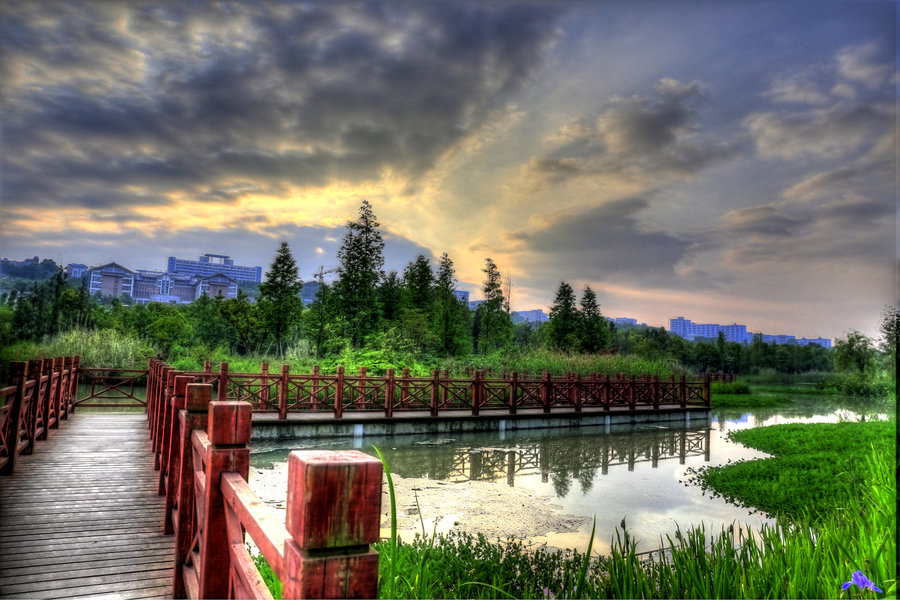 【花溪湿地公园摄影图片】生态摄影