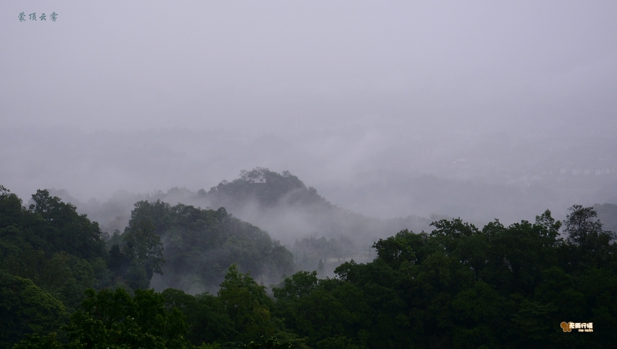 云雾蒙顶山