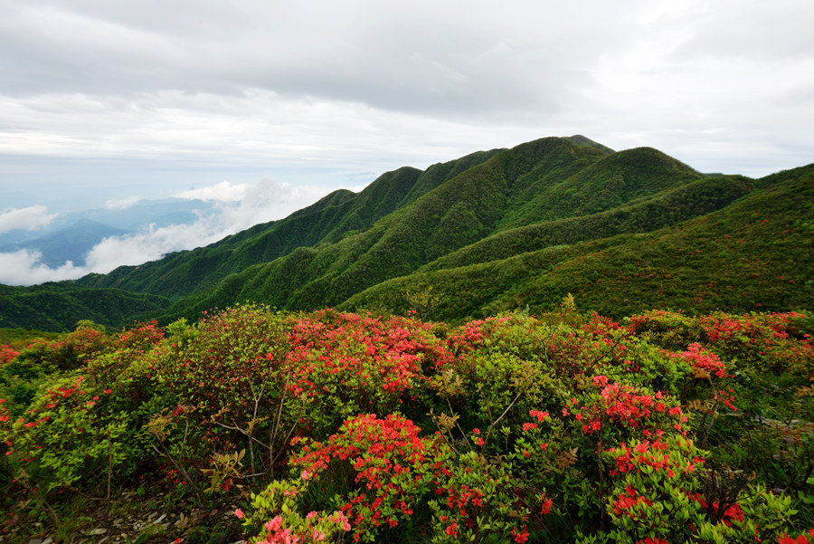 湖南省新化县大熊山九龙峰高山风光