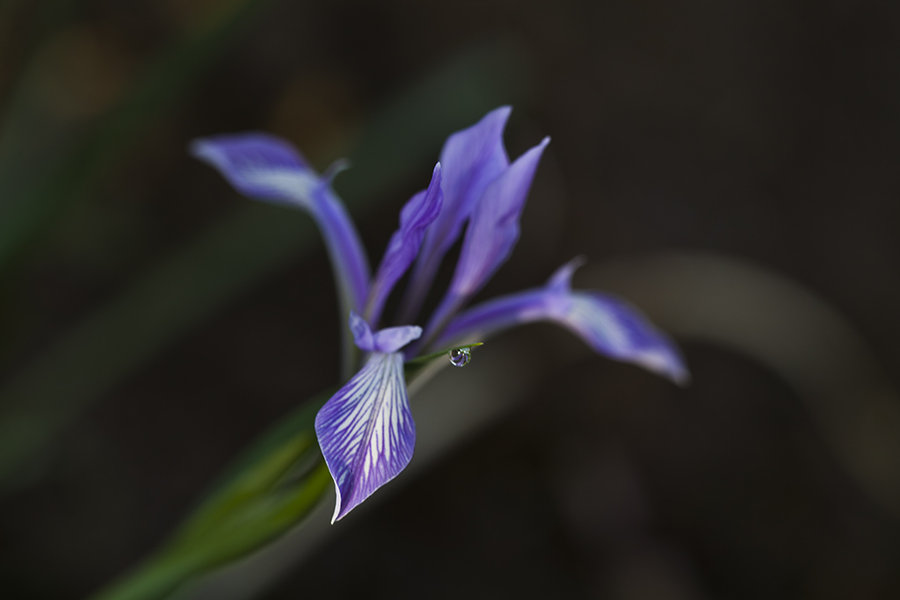 【兰花花摄影图片】风光旅游摄影
