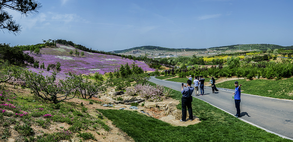 大连英歌石植物园