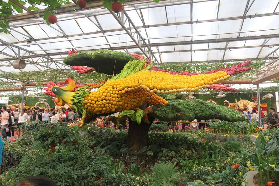 蔬菜也疯狂之蔬菜造型二(看看都是啥子菜)图片