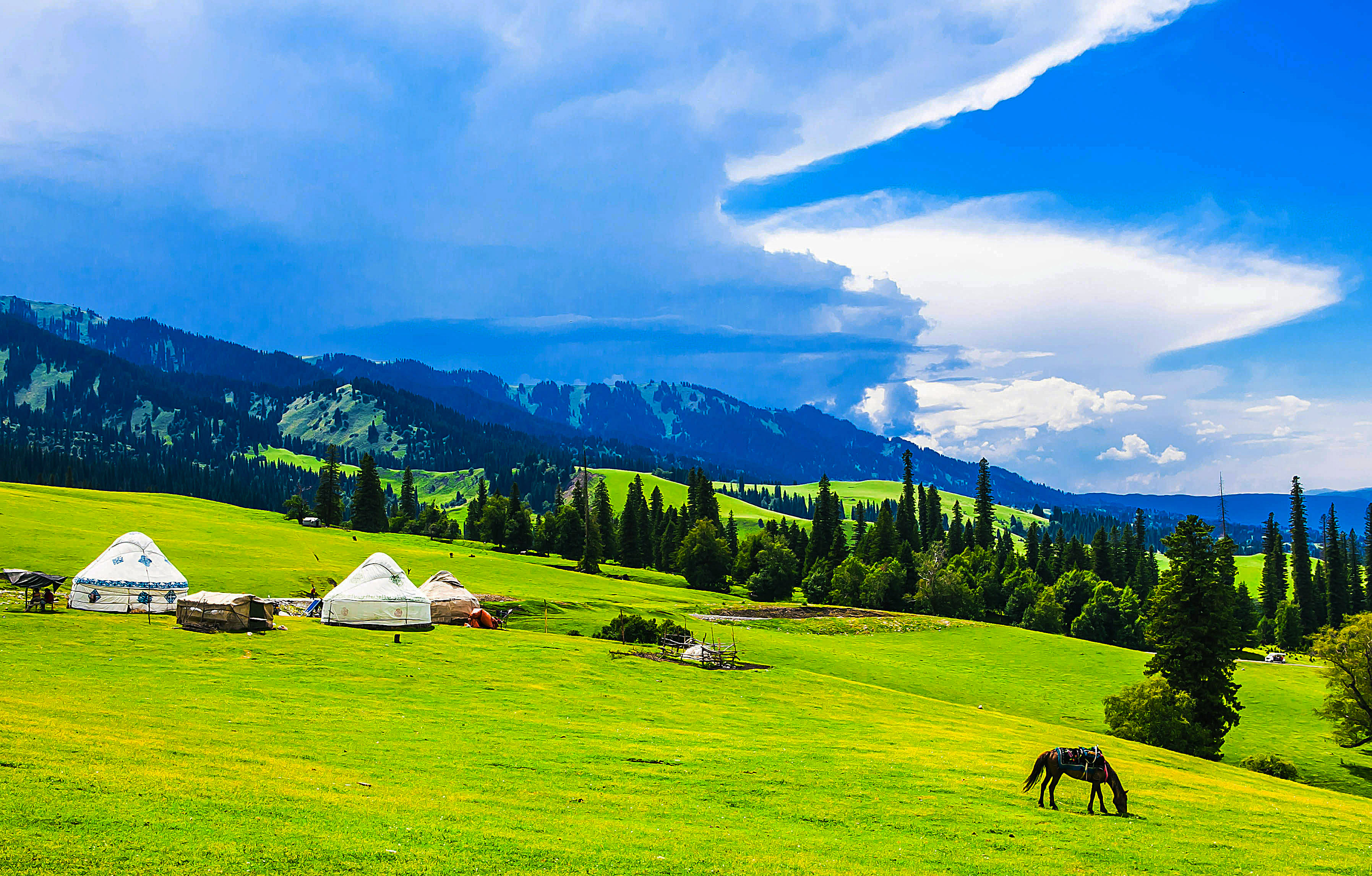 绝美新疆：那拉提草原上的风光 | 旅游文化